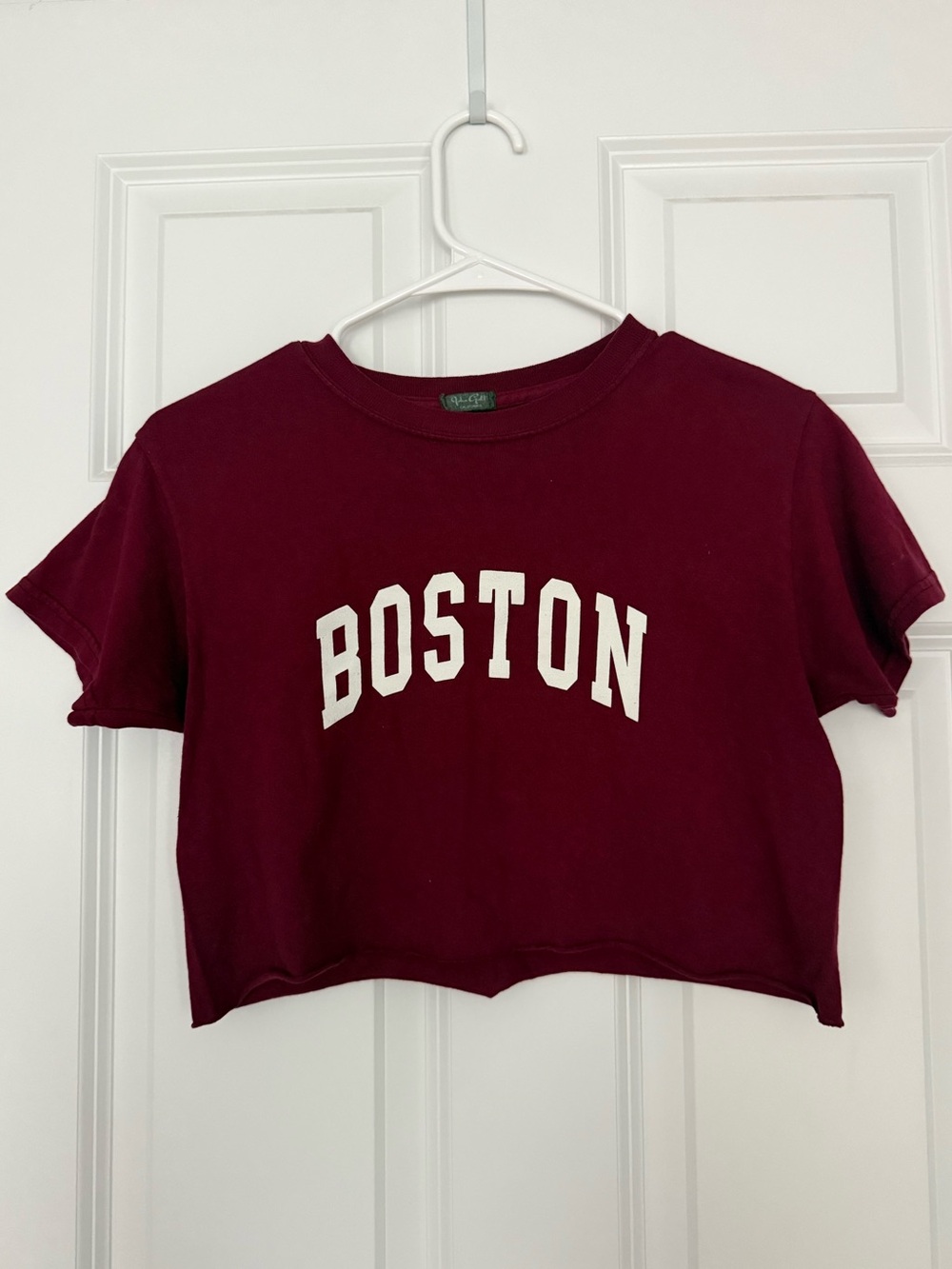 Brandy Melville Boston Cropped Tee
